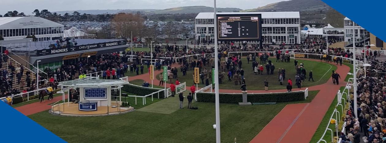 BLOG Cheltenham Hero